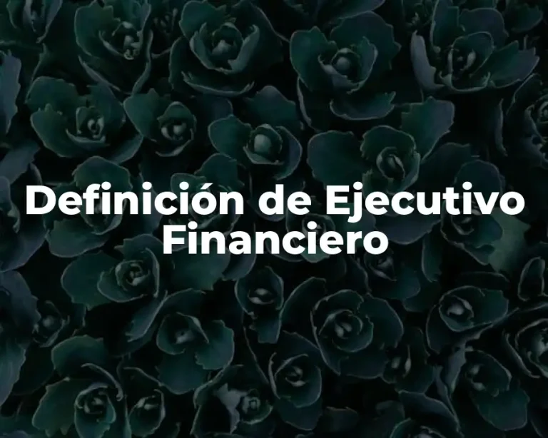 Definición de Ejecutivo Financiero