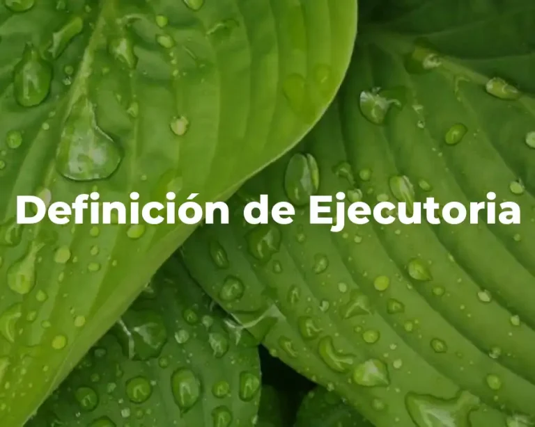 Definición de Ejecutoria