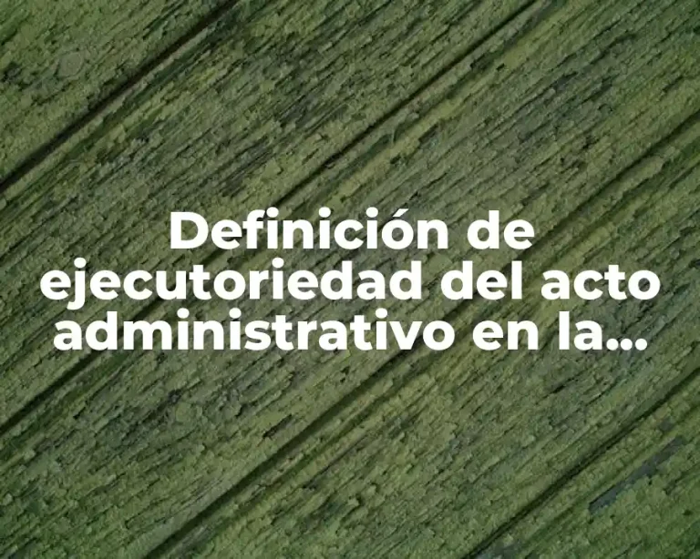 Definición de ejecutoriedad del acto administrativo en la vida cotidiana