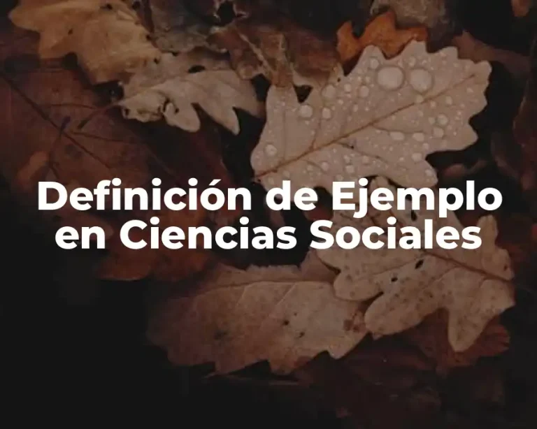 Definición de Ejemplo en Ciencias Sociales