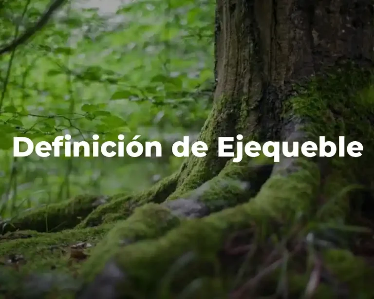 Definición de Ejequeble