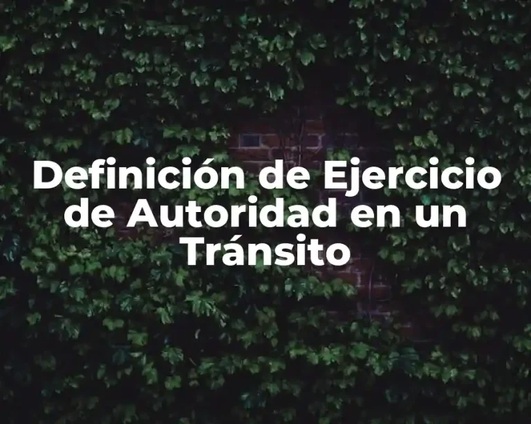 Definición de Ejercicio de Autoridad en un Tránsito