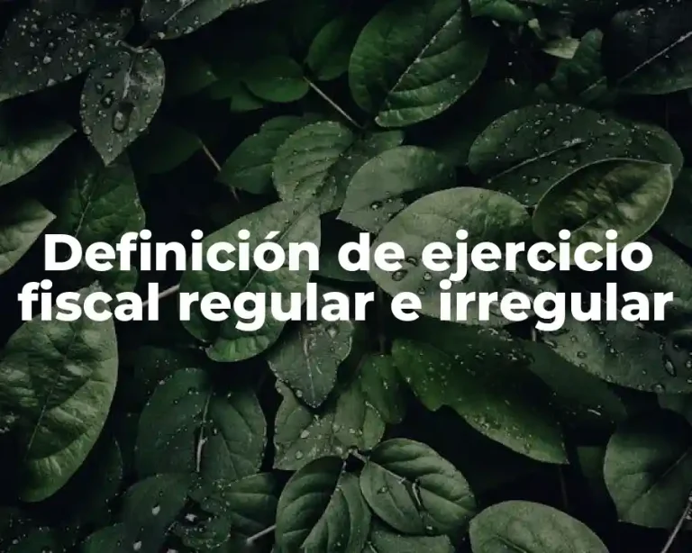 Definición de ejercicio fiscal regular e irregular