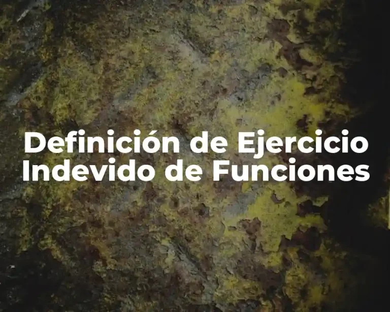 Definición de Ejercicio Indevido de Funciones
