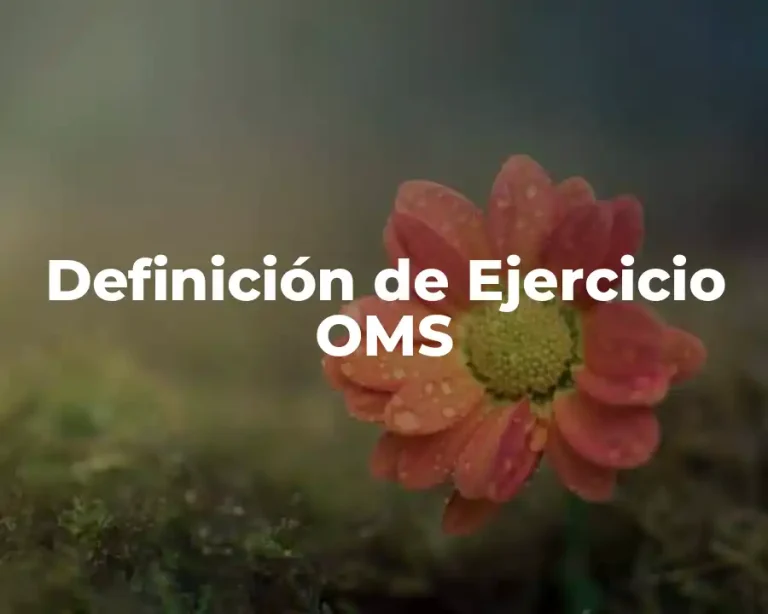 Definición de Ejercicio OMS