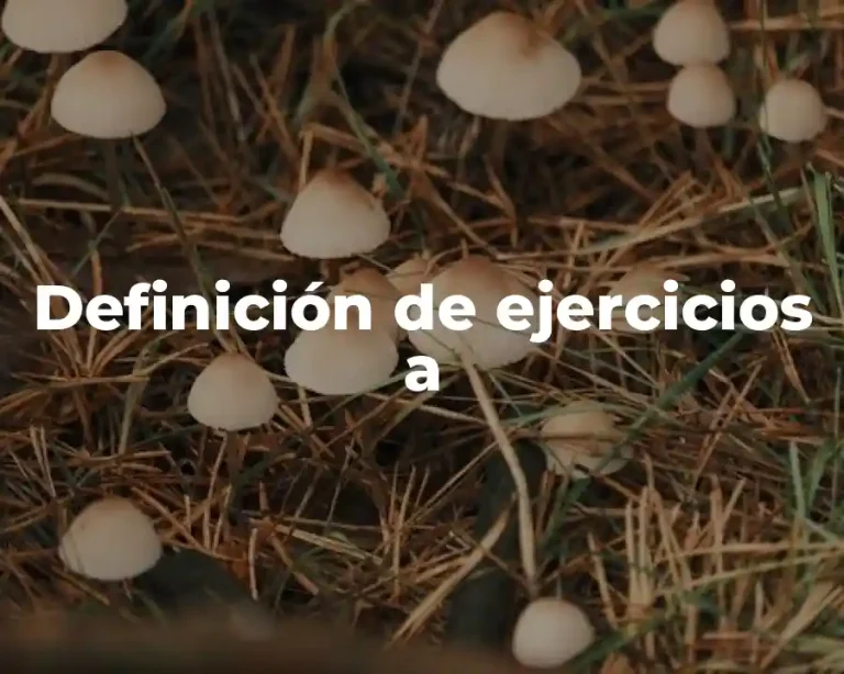 Definición de ejercicios a