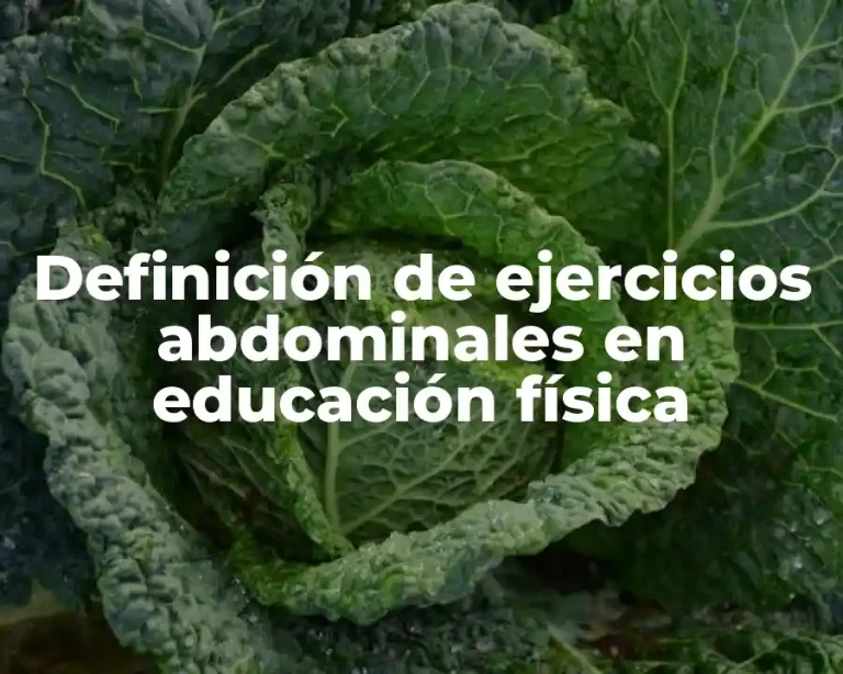 Definición de ejercicios abdominales en educación física
