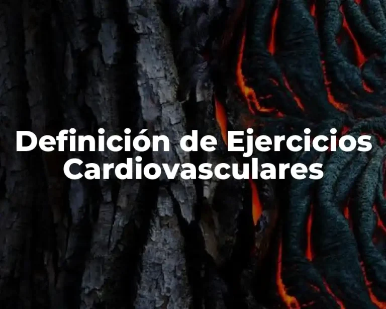 Definición de Ejercicios Cardiovasculares