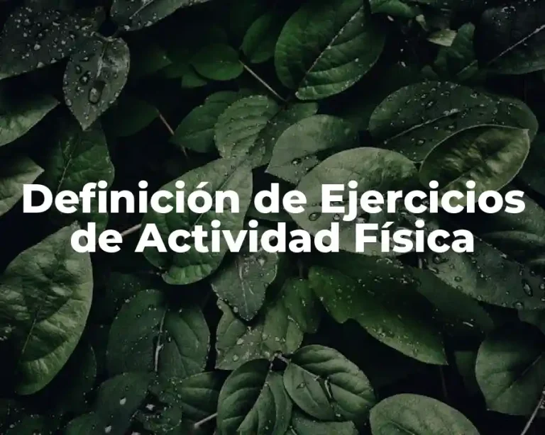 Definición de Ejercicios de Actividad Física