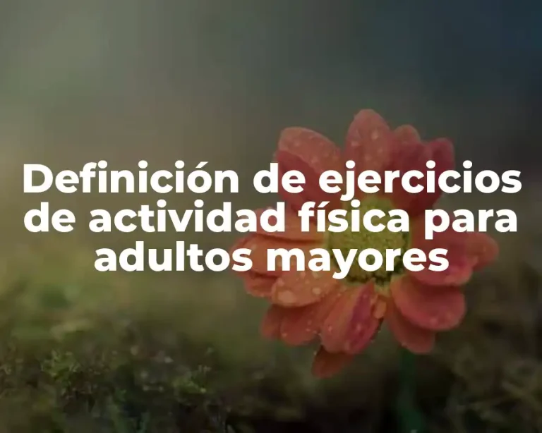 Definición de ejercicios de actividad física para adultos mayores