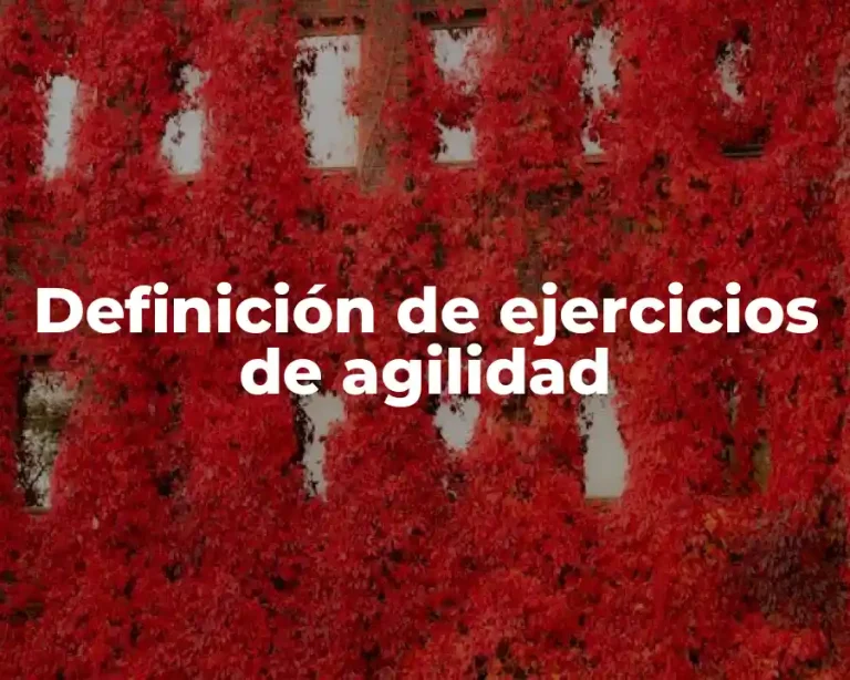 Definición de ejercicios de agilidad