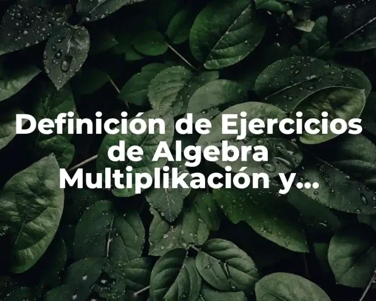 Definición de Ejercicios de Algebra Multiplikación y División de Fracciones