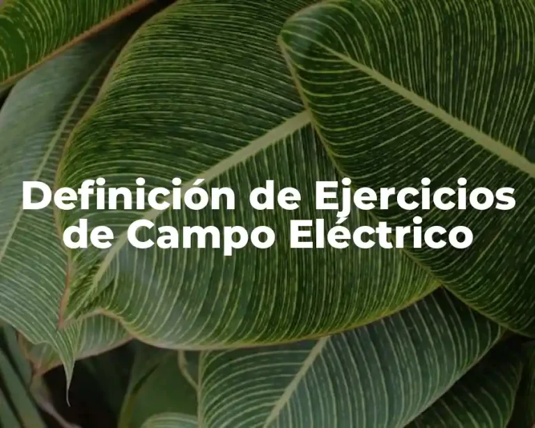 Definición de Ejercicios de Campo Eléctrico