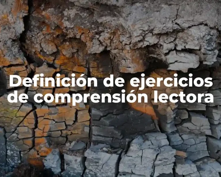 Definición de ejercicios de comprensión lectora