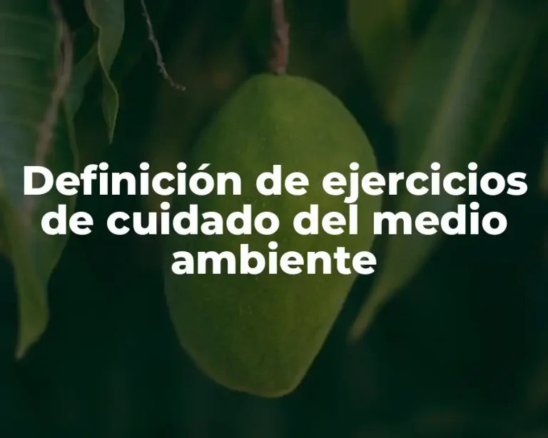 Definición de ejercicios de cuidado del medio ambiente
