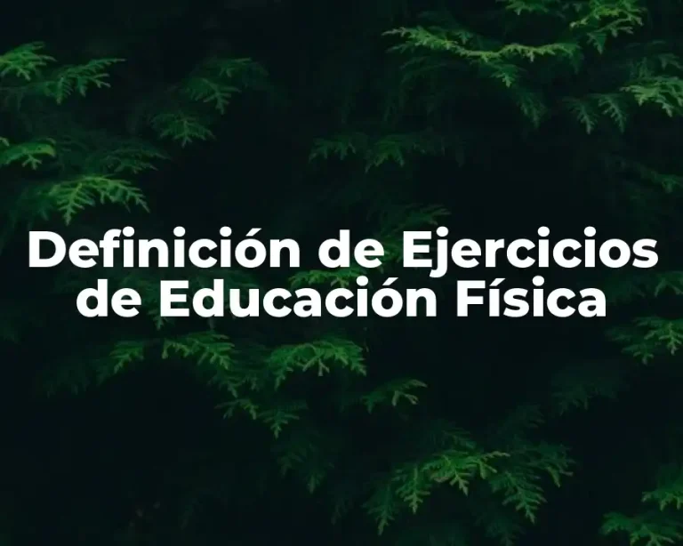 Definición de Ejercicios de Educación Física