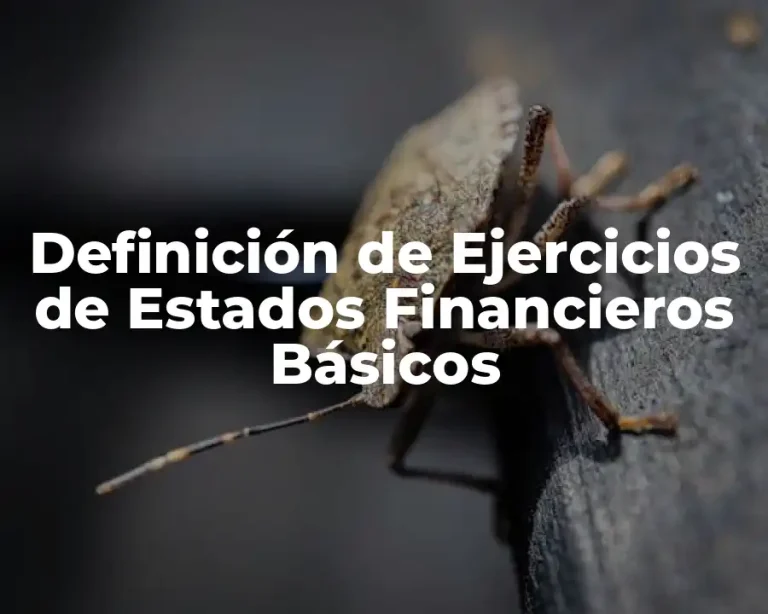 Definición de Ejercicios de Estados Financieros Básicos