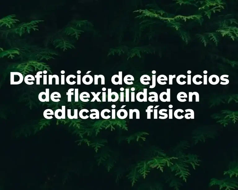Definición de ejercicios de flexibilidad en educación física