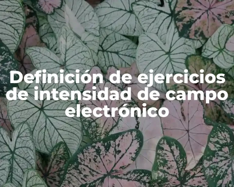 Definición de ejercicios de intensidad de campo electrónico