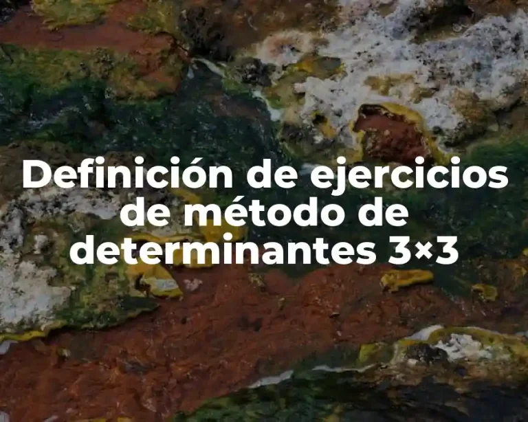 Definición de ejercicios de método de determinantes 3×3