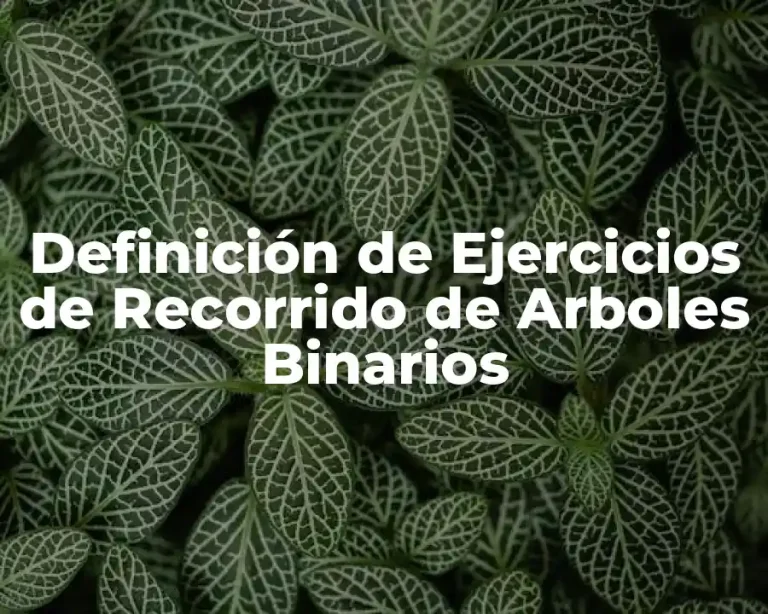Definición de Ejercicios de Recorrido de Arboles Binarios