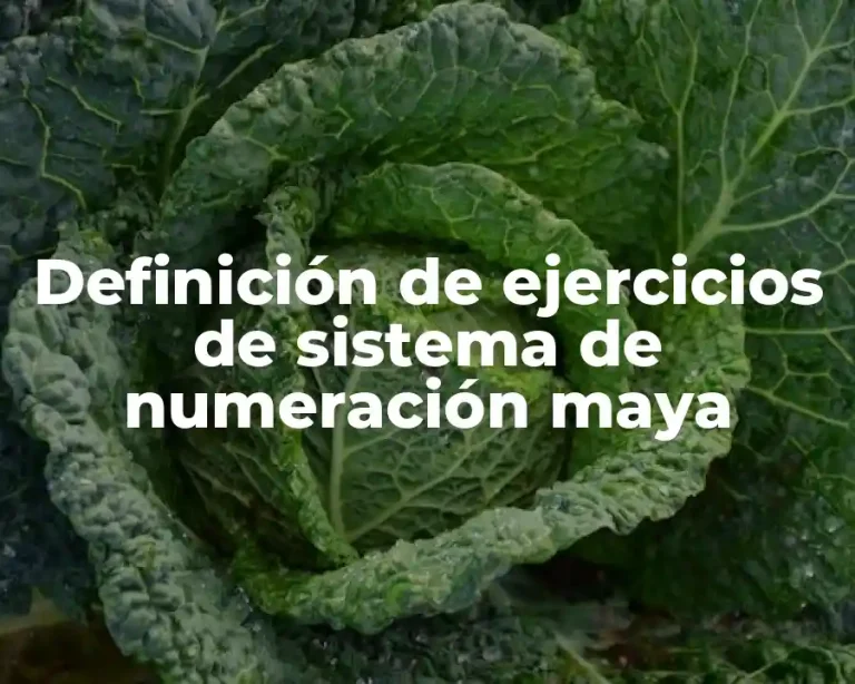 Definición de ejercicios de sistema de numeración maya