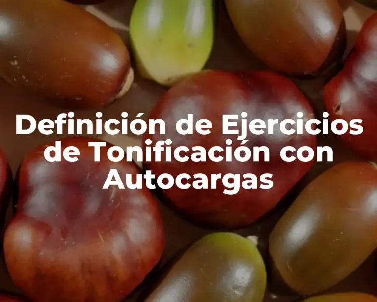 Definición de Ejercicios de Tonificación con Autocargas