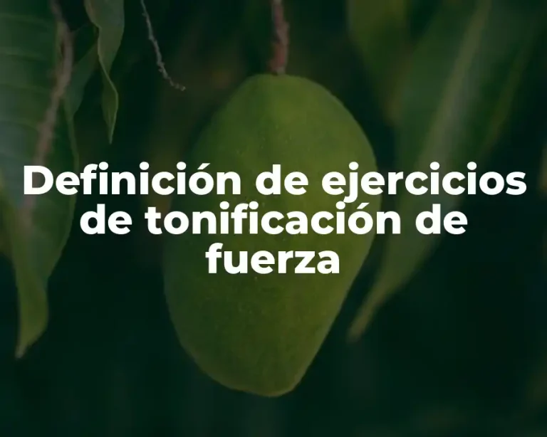 Definición de ejercicios de tonificación de fuerza