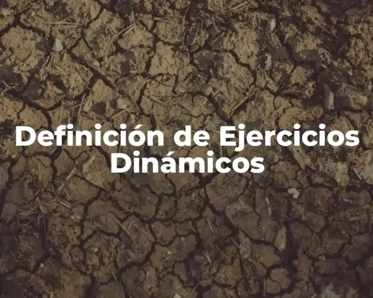 Definición de Ejercicios Dinámicos