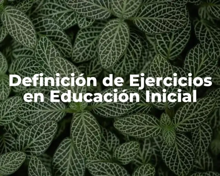 Definición de Ejercicios en Educación Inicial