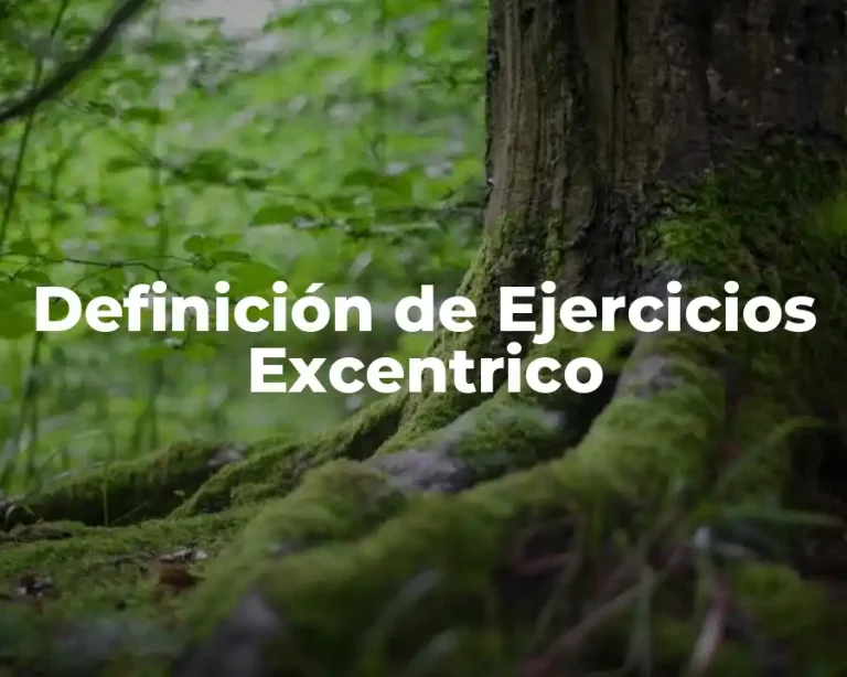 Definición de Ejercicios Excentrico