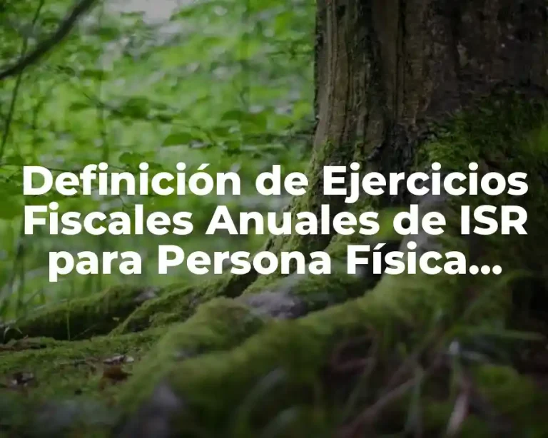 Definición de Ejercicios Fiscales Anuales de ISR para Persona Física Agrícola
