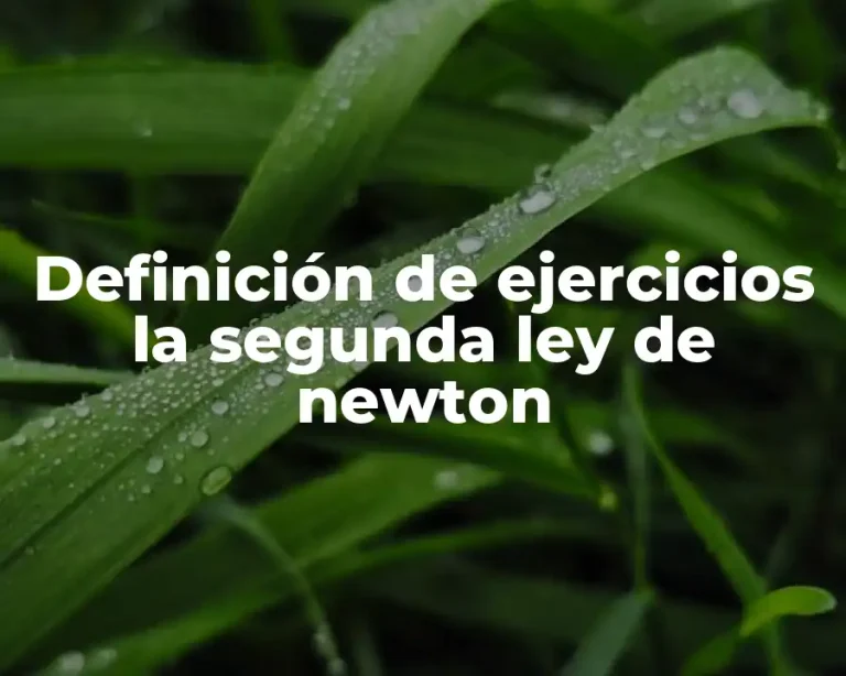 Definición de ejercicios la segunda ley de newton
