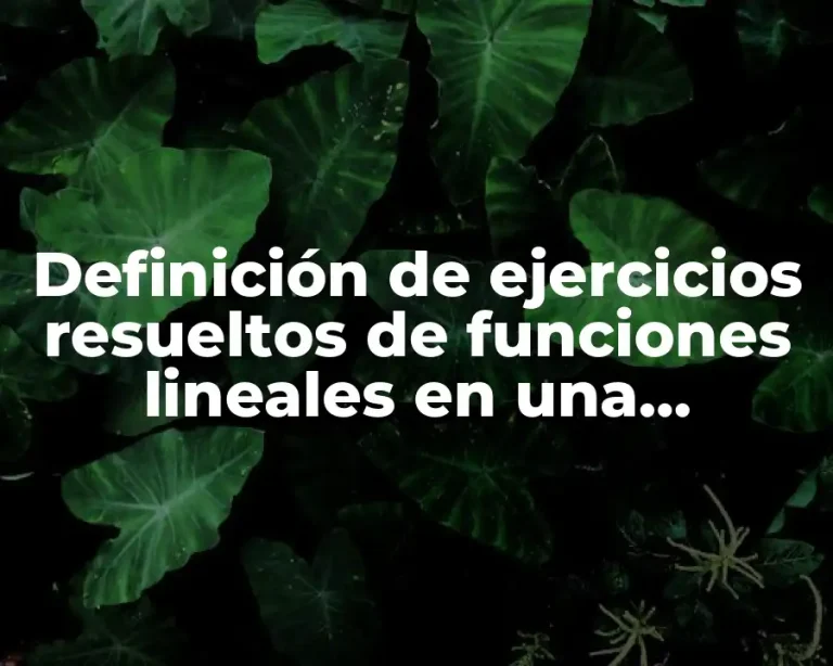 Definición de ejercicios resueltos de funciones lineales en una empresa