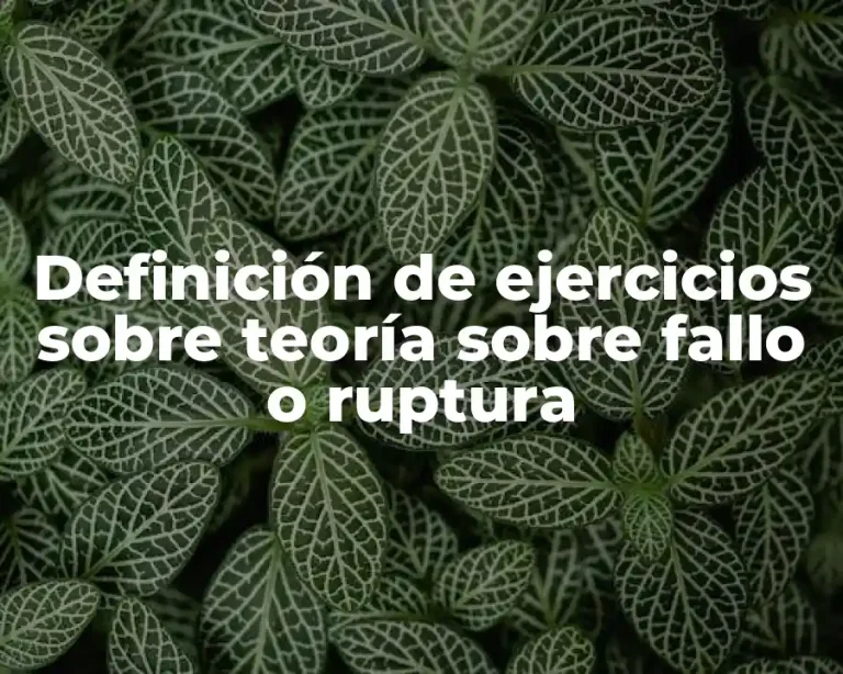 Definición de ejercicios sobre teoría sobre fallo o ruptura