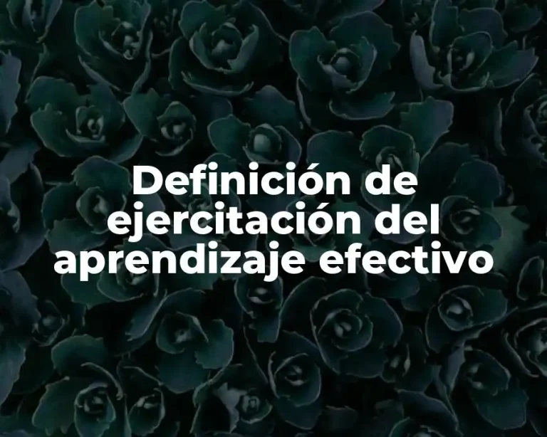 Definición de ejercitación del aprendizaje efectivo