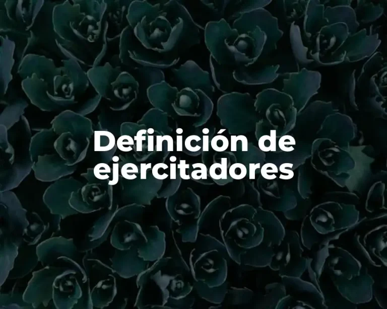 Definición de ejercitadores