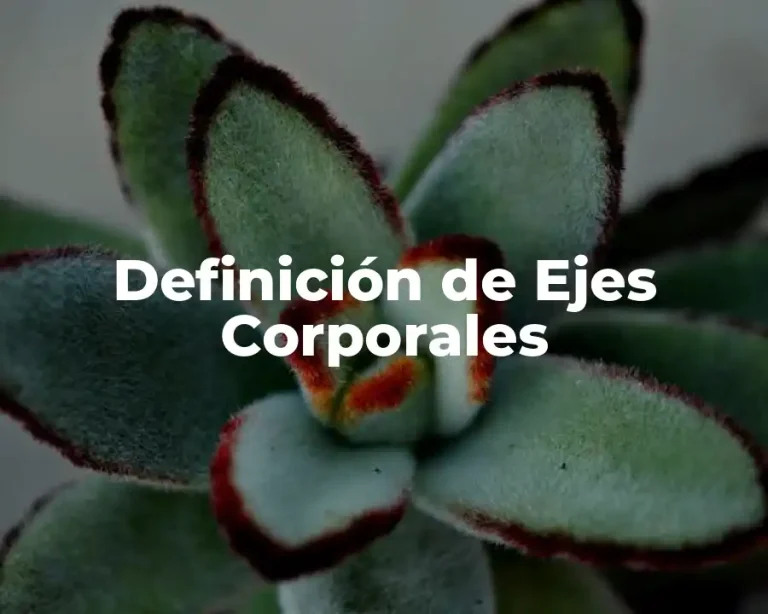 Definición de Ejes Corporales