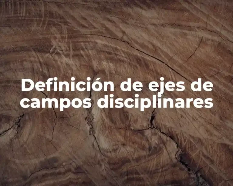 Definición de ejes de campos disciplinares