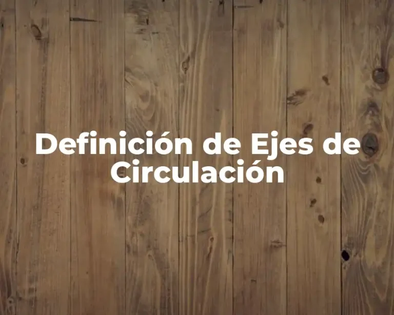 Definición de Ejes de Circulación