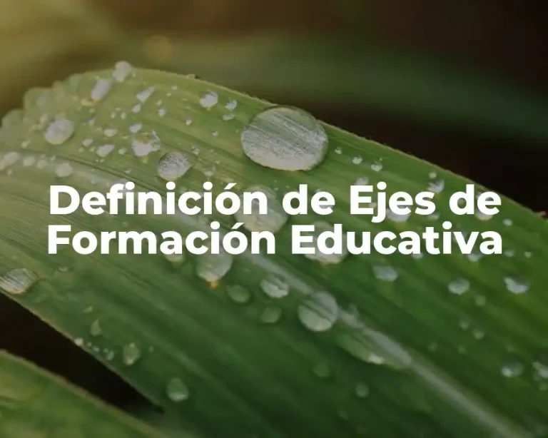 Definición de Ejes de Formación Educativa