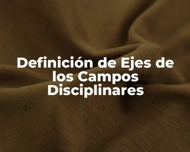 Definición de Ejes de los Campos Disciplinares