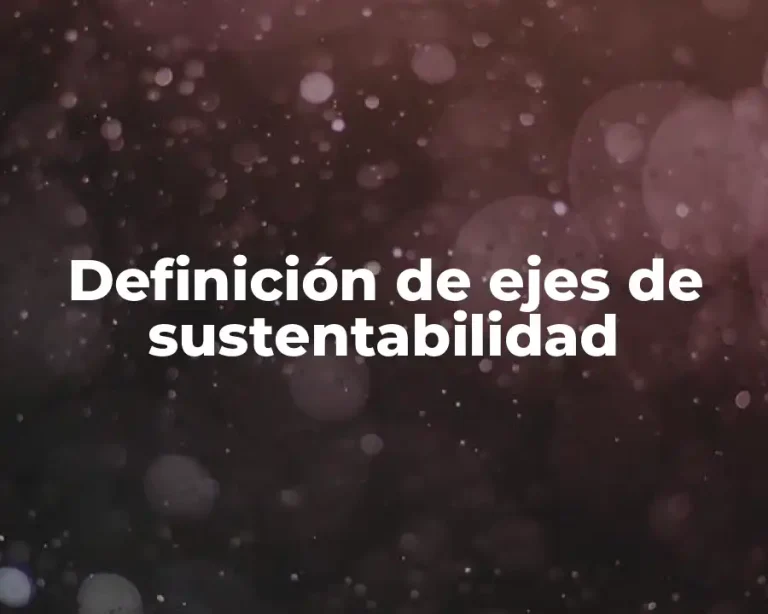 Definición de ejes de sustentabilidad