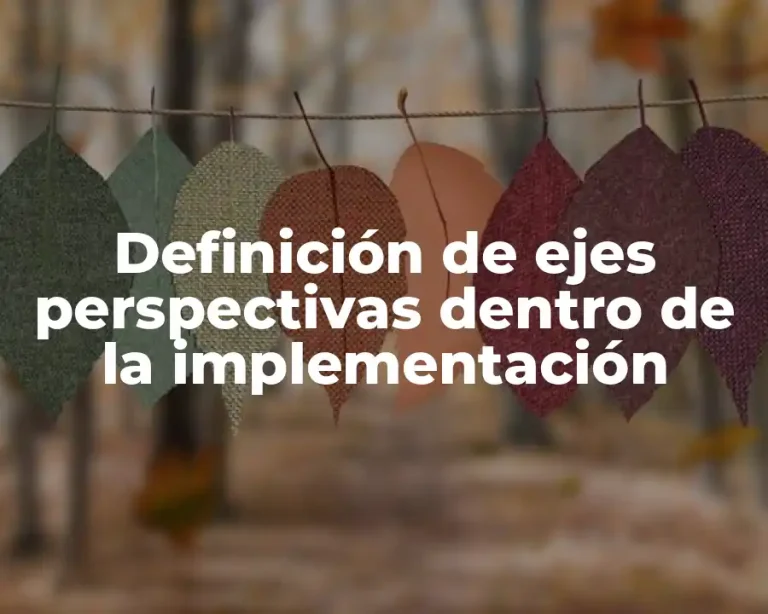 Definición de ejes perspectivas dentro de la implementación
