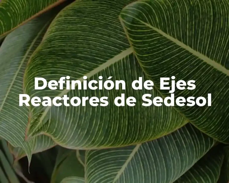 Definición de Ejes Reactores de Sedesol