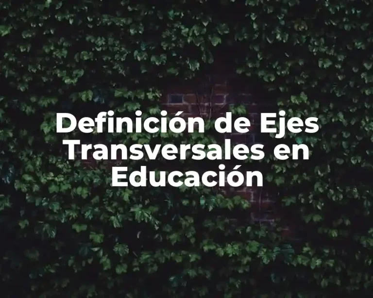 Definición de Ejes Transversales en Educación