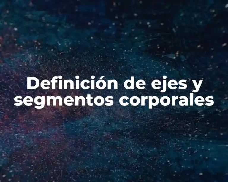 Definición de ejes y segmentos corporales