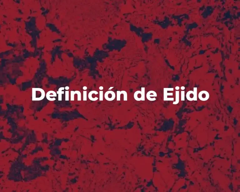 Definición de Ejido