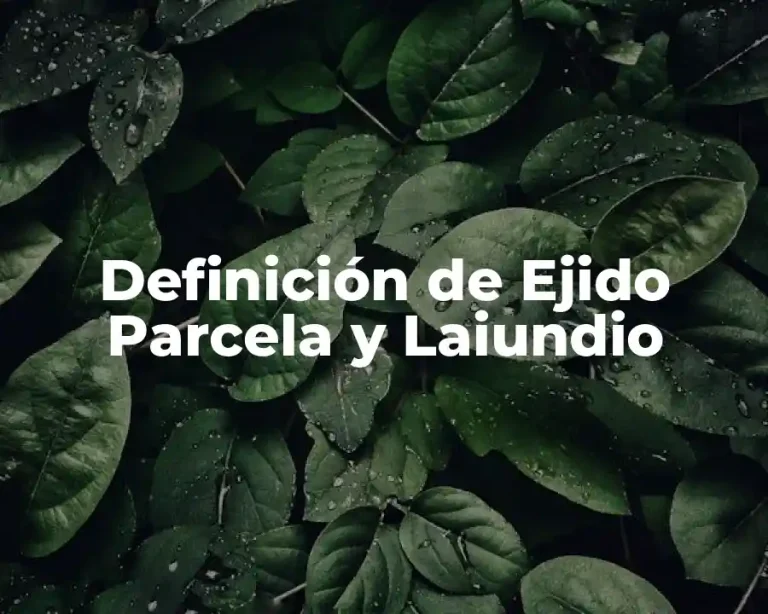 Definición de Ejido Parcela y Laiundio