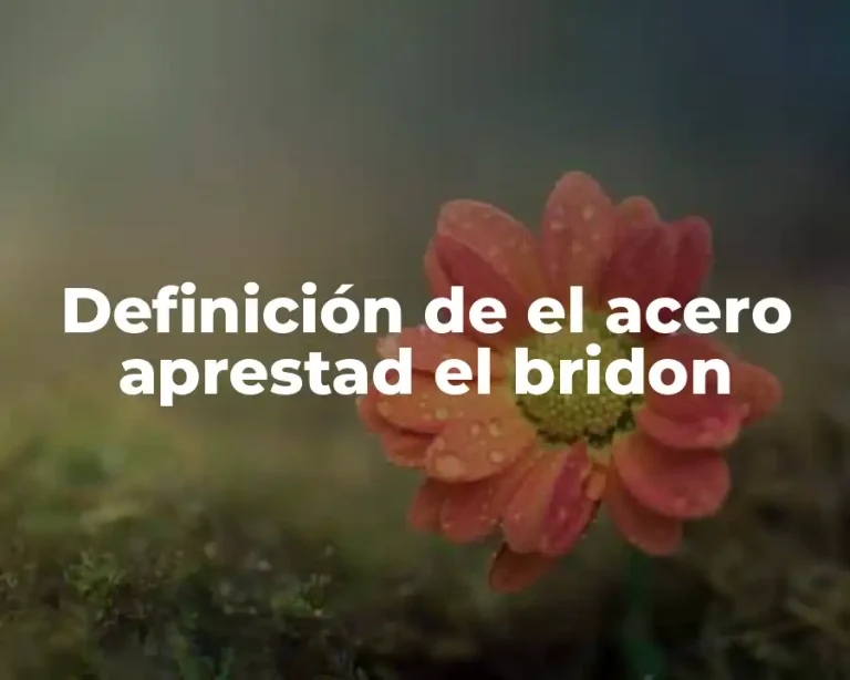 Definición de el acero aprestad el bridon